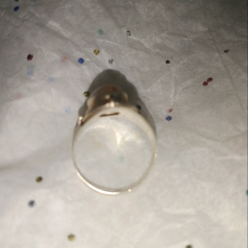 Silver stone has fossil inside, size 7. - Picture 7 of 7